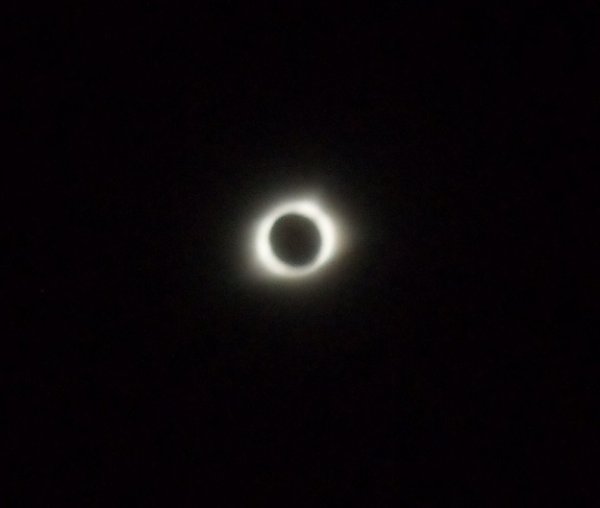 1332.jpg