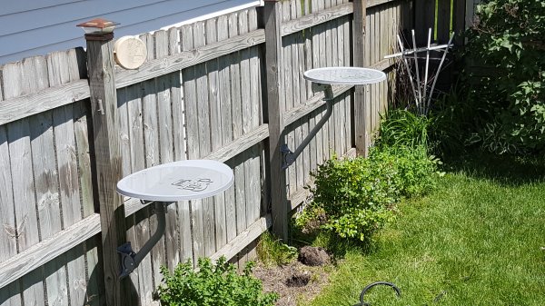 20160530_135429.jpg