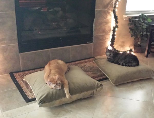 20161220_163805.jpg
