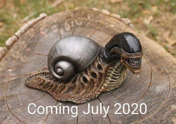 2020 xenomorph snail.jpg