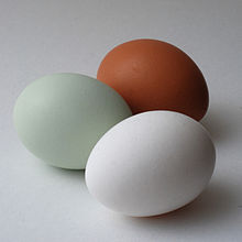 220px-AraucanaEgg_vs_Brown_White.jpg