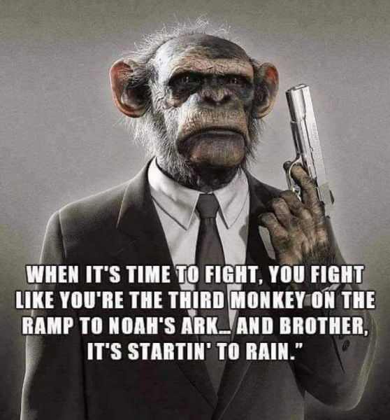 3rd monkey.png