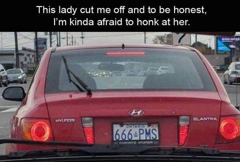 666_PMS.jpg