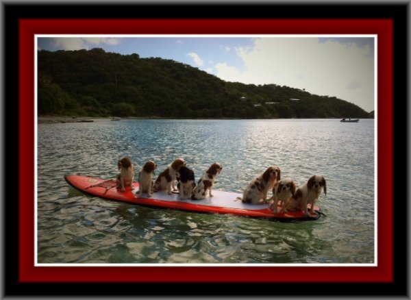 9 on paddleboard.JPG