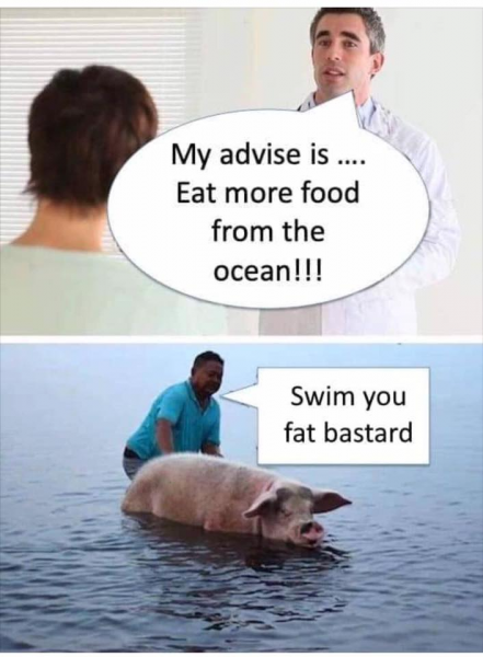 advice for diet.png