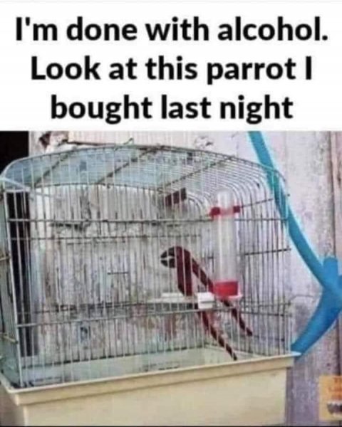 alcohol made be buy this channel lock parrot.jpg