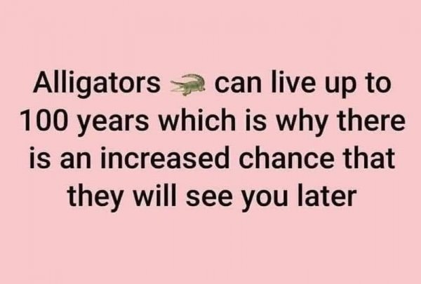alligators 100 year life.jpg