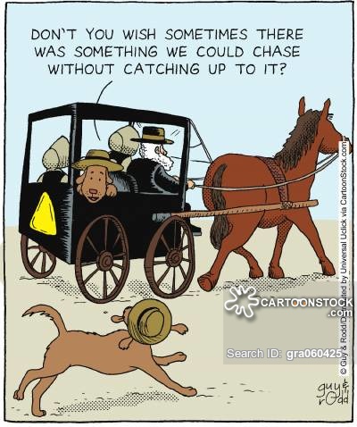 amish.jpg