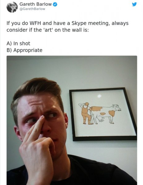appropriate wall art doing zoom meeting.jpg
