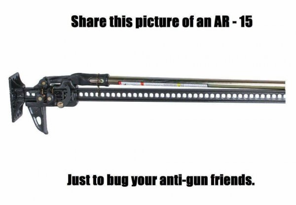 AR15 facsimile.jpg