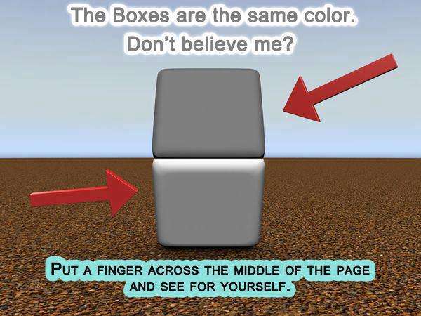 AWellKnownIllusionJustForShitsAndGiggles-85108.jpg