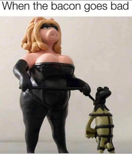 bacon goes bad kermit.jpg