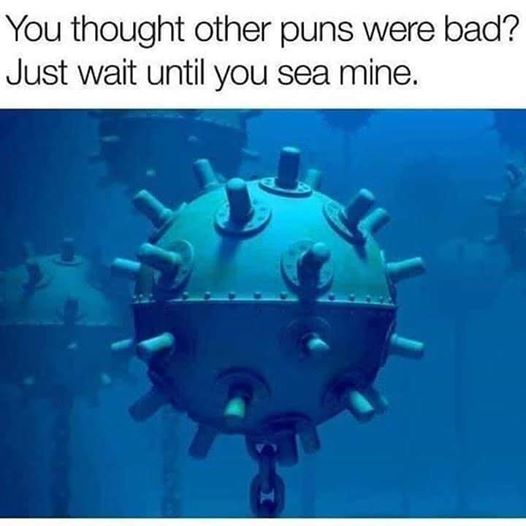 bad puns.jpg