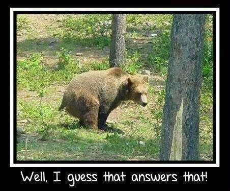 bear in the woods.png