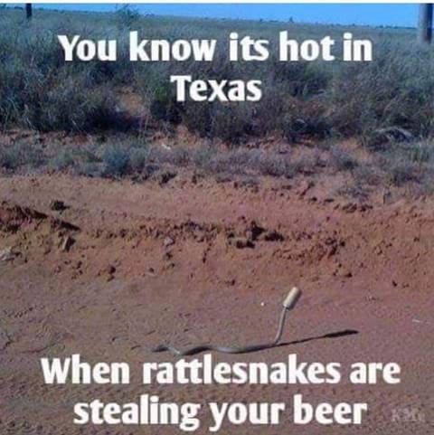 beer stealin rattlers.jpg