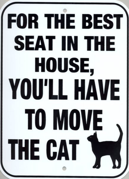 BestSeat[1].jpg