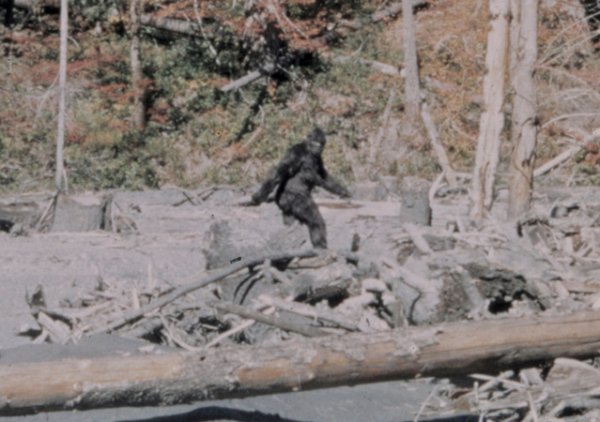 bigfoot-film_fe.jpg
