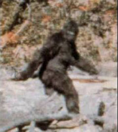 bigfoot-photo.jpg