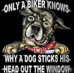 bikers know.jpg