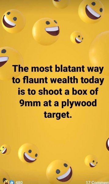 blatant display of wealth shoot 9mm at plywood.jpg