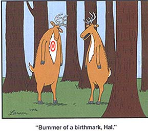 bummer birthmark.jpg