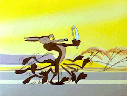 C02B8109-9043-4B27-BD04-940946B8A5F3.gif