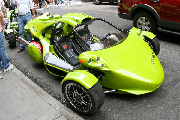 campagna T-Rex.jpg