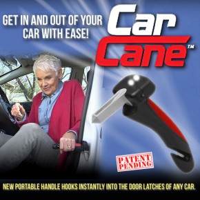 car-cane-898_290.jpg