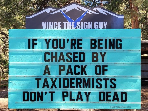 chased by taxidermists_dont play dead.jpg