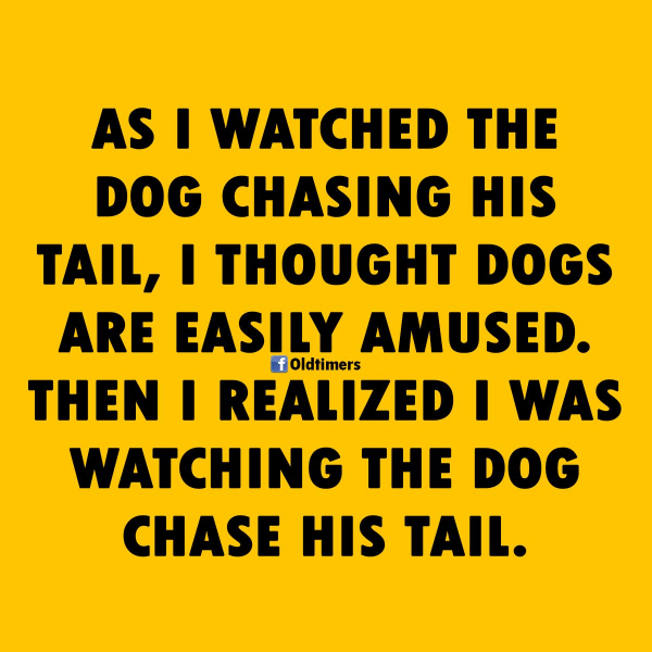 chasing a dogs tail.png.png