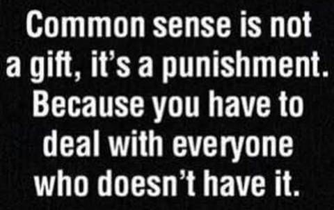 common sense.jpg