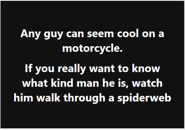 cool on a motorcycle vs walking into a spiderweb.png
