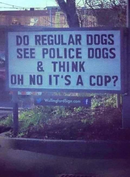 cop dogs.png