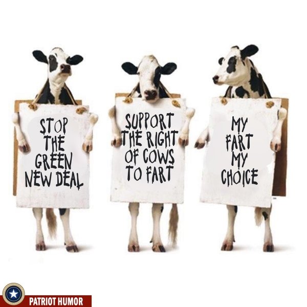 cow farts.jpg