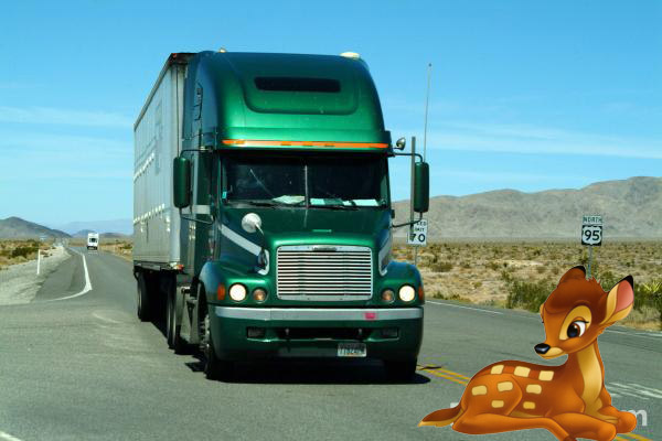 deer-truck-copy.jpg