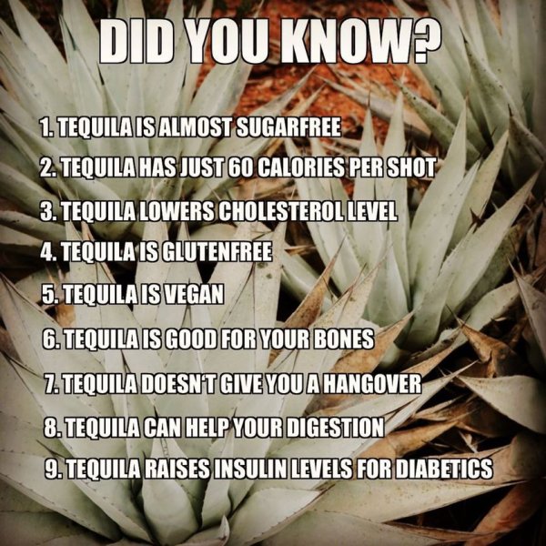 did you know about tequila poster.jpg