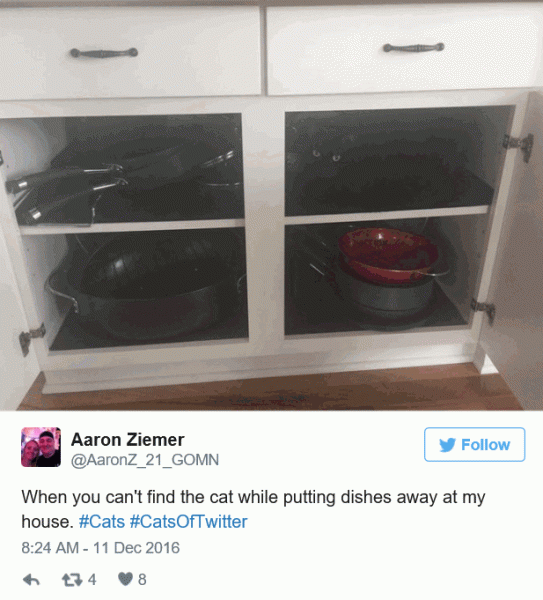 Dishes.gif