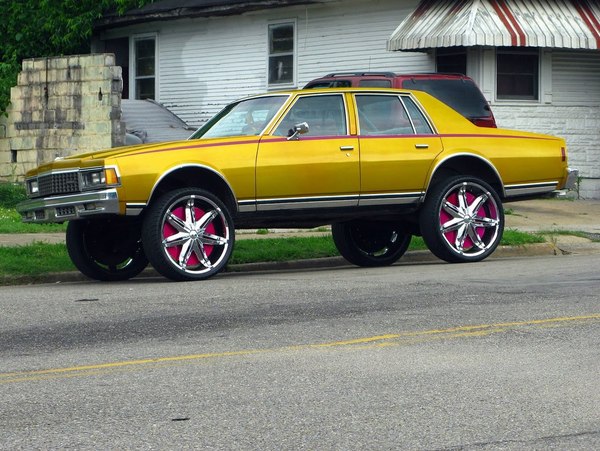 donk1.jpg