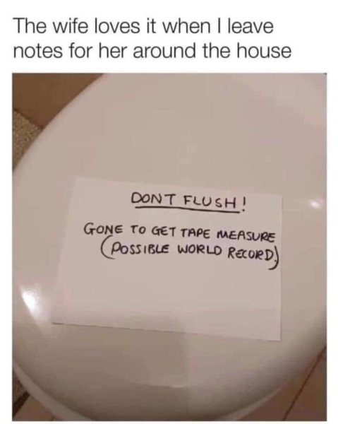 dont flush possible world record.jpg