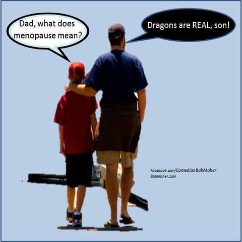 dragons.png