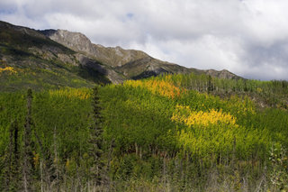 DSC_4135-early-autumn-mccarthy-rd.jpg