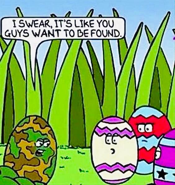 easter egg camoflage.jpg