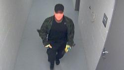 eathly-goats-tiger_suspect_1461771395887_1973225_ver1_0_33015385e3255886491fff6d8ac1c3d5ca2d64c0.jpg