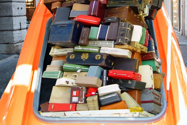 Elio stuffed trunk.jpg