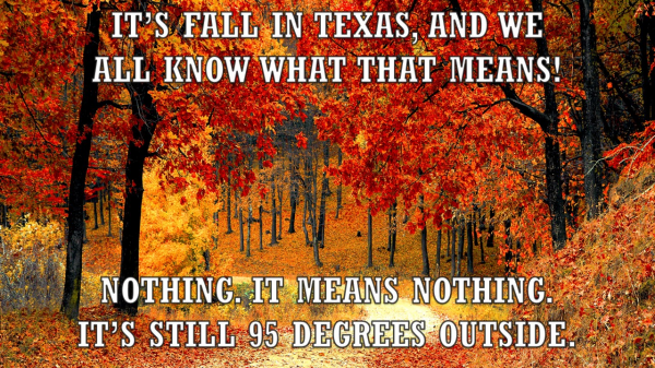 fall in texas.png