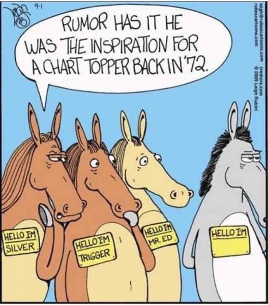 famous horse reunion.jpg