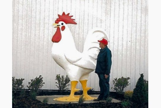 fibreglasschicken_jpeg_size_xxlarge_letterbox.jpg