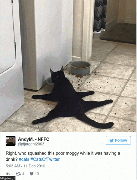 Flat.gif
