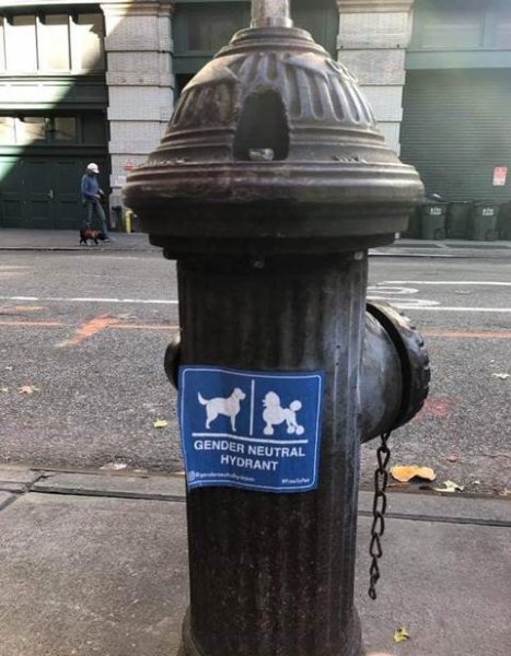 gender neutral.jpg