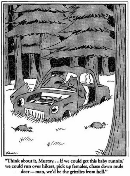 grizzlies from hell car.jpg